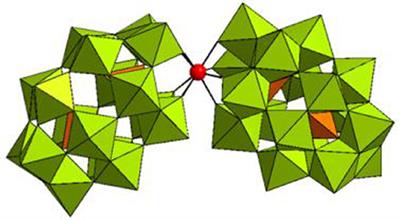 Selective Hydrolysis of Ovalbumin Promoted by Hf(IV)-Substituted Wells-Dawson-Type Polyoxometalate